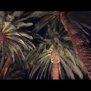 Meet your Posher, Jack